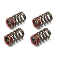 RESSORT SOUPAPE RENFORCE ANIMA 150/160/190/212 (X4)